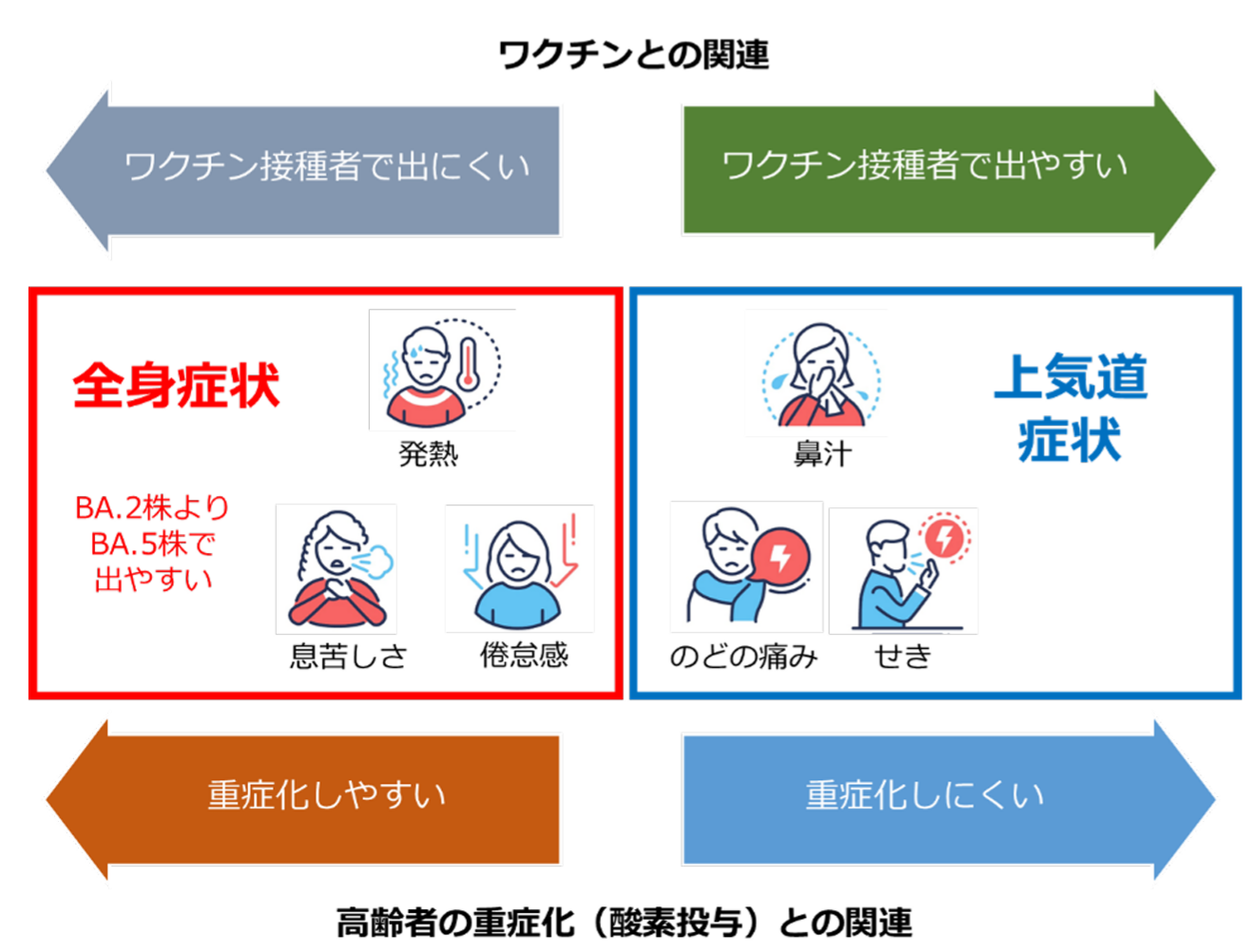 本研究で明らかになった COVID-19の症状の特徴